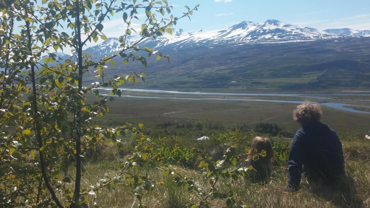 Iceland Yurt Akureyri Buitenkant foto
