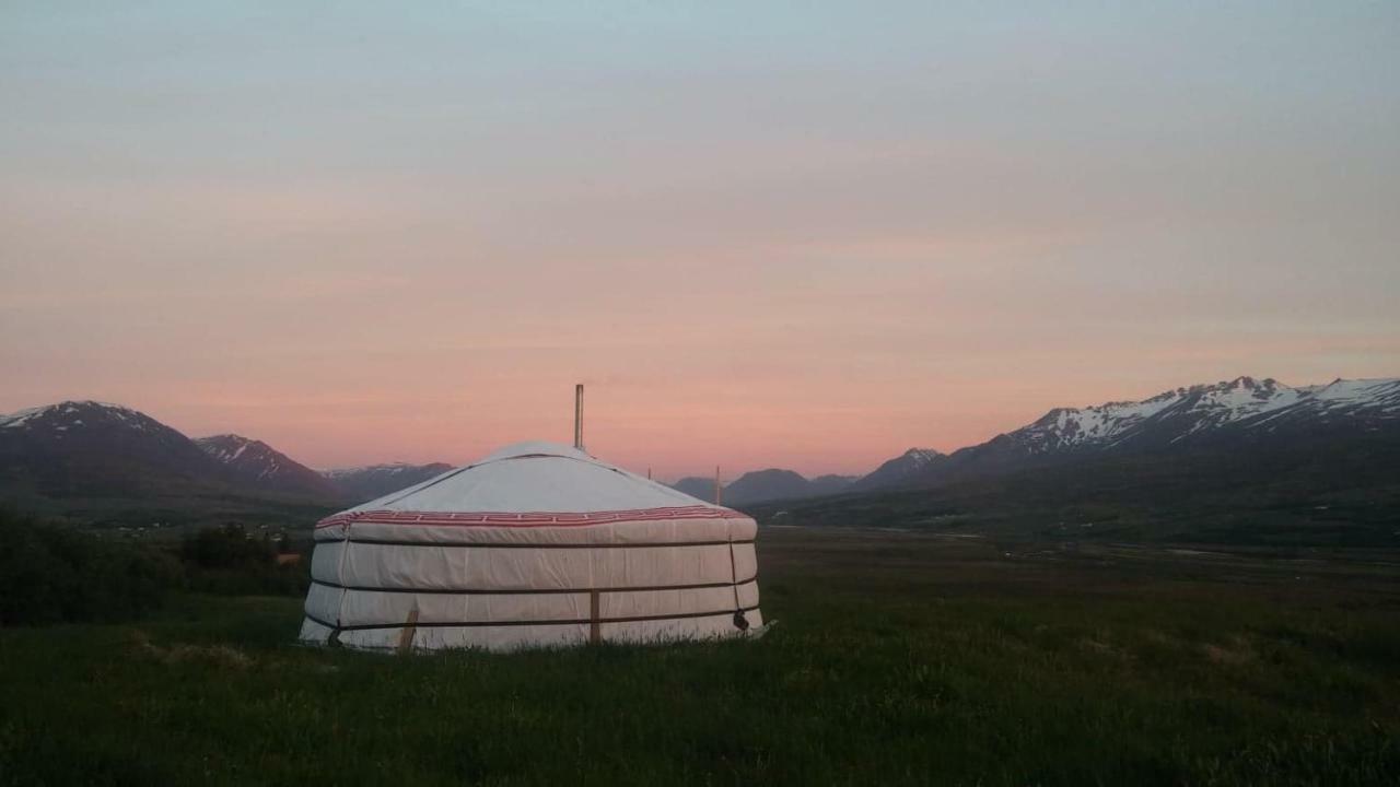 Iceland Yurt Akureyri Buitenkant foto